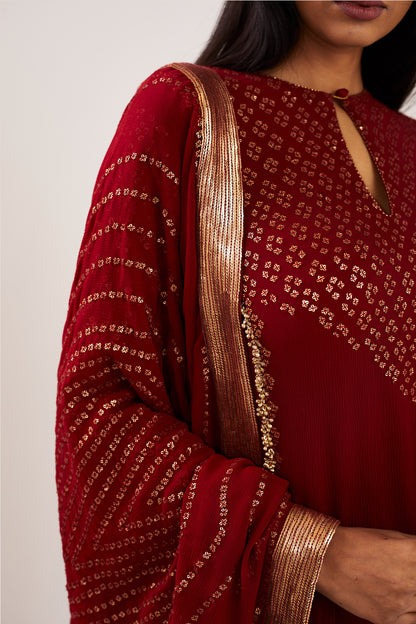 Kurta Set in Bandini Inspired Sequins Embroidery