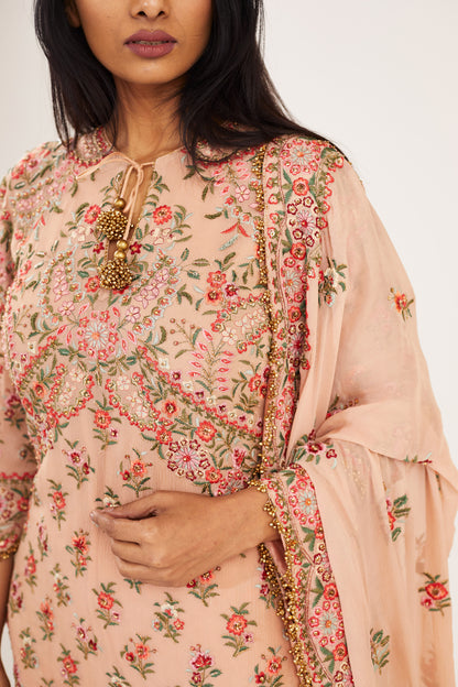 Gharara Set in Floral Thread Embroidery