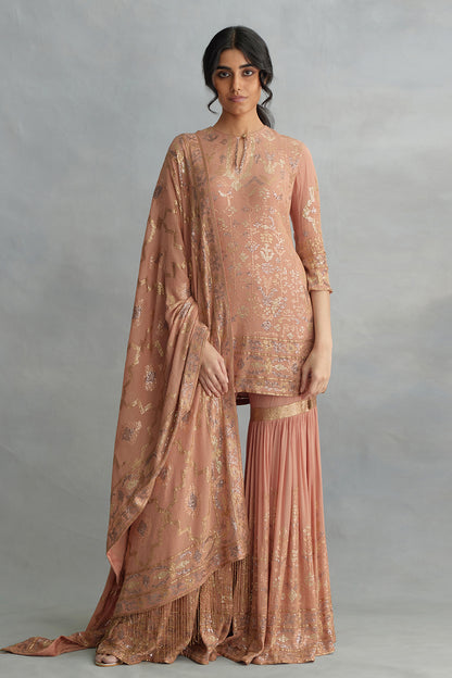 Gharara Set in Small Sequin Embroidery