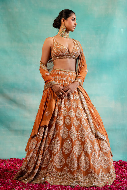 Lehenga Set with Thread & Mirror Embroidery