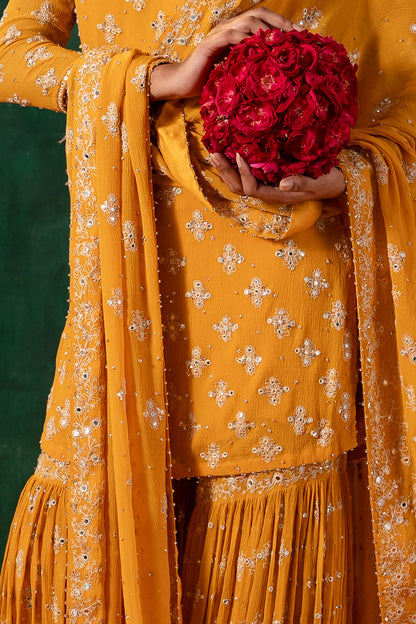 Gharara Set in mirror and thread embroidery