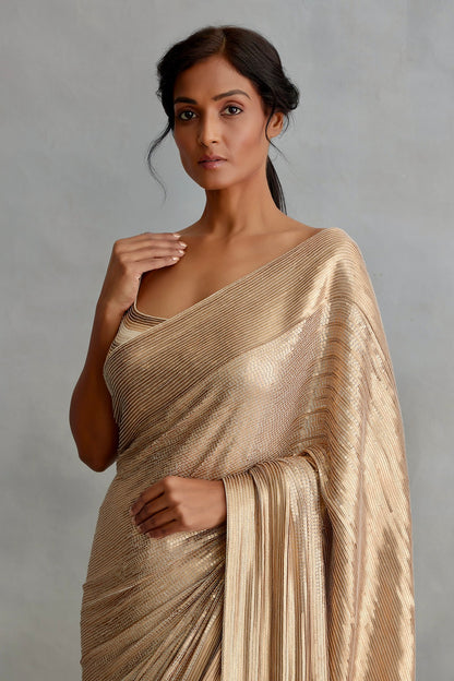 Sari in gold sequin sheeting embroidery