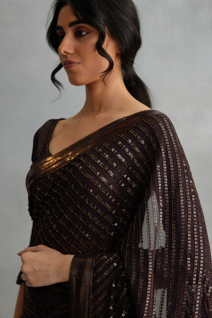 Sari Set with Tonal Sequin Embroidery