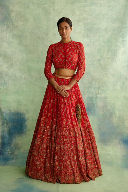 Lehenga Set in floral paisley thread embroidery