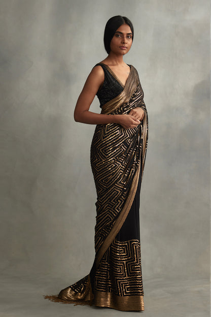 Sari Set with Gold Sequin Embroidery