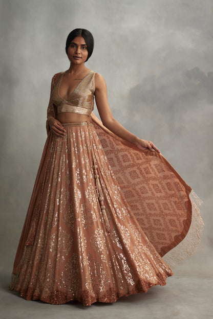 Lehenga Set in small sequin embroidery