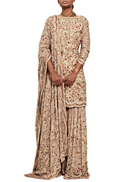 Gharara Set in an Intricate Floral Thread Embroidery