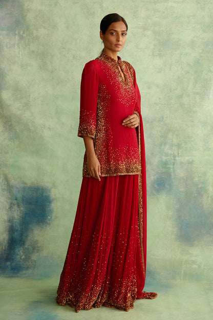 Sharara Set with Gold Sprinkle Sequin Embroidery