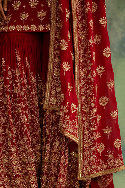 Gharara Set with Thread Embroidery