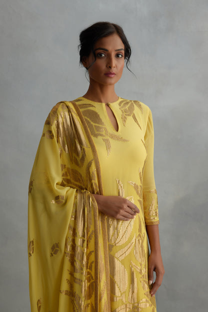 Gharara Set in Lotus design sequin embroidery