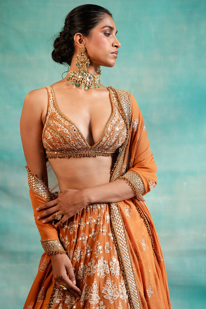 Lehenga Set with Thread & Mirror Embroidery