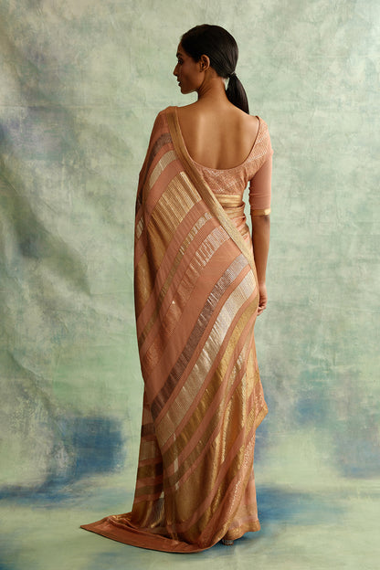 Sari Set in Sequin Embroidery