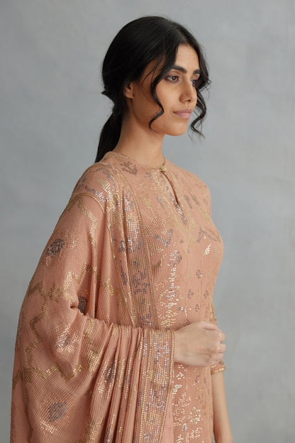 Gharara Set in Small Sequin Embroidery