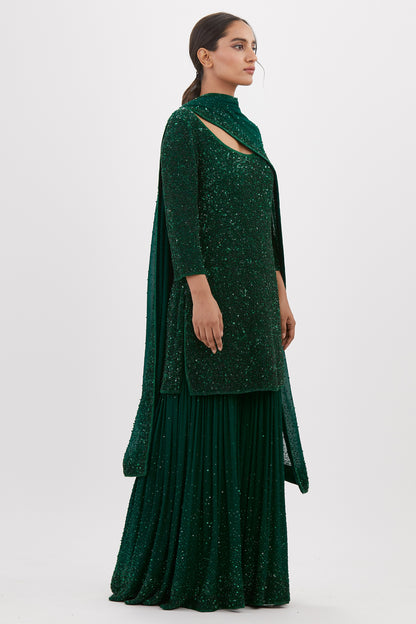 Gharara Set in  tonal sequin work embroidery