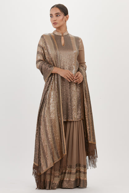 Gharara Set in Metallic Sequin Embroidery