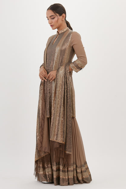 Gharara Set in Metallic Sequin Embroidery