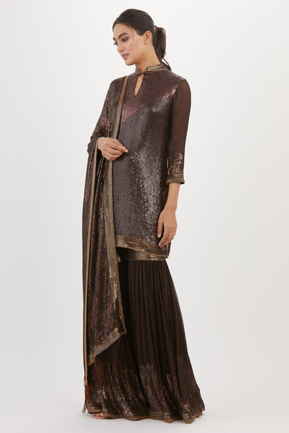 Gharara Set in Metallic Sequin Embroidery