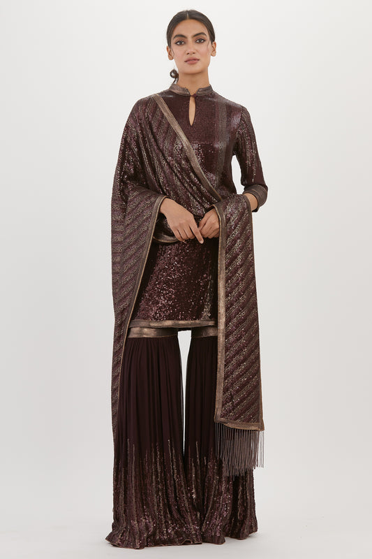 Gharara Set in Metallic Sequin Embroidery