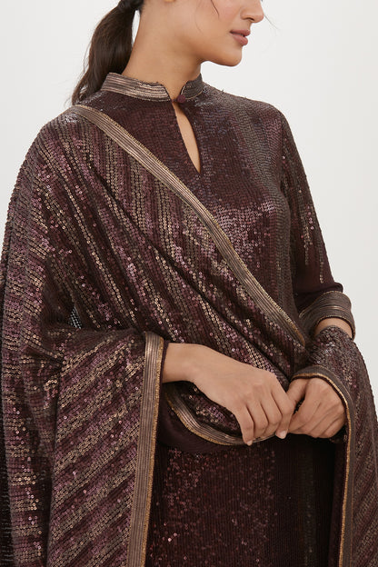 Gharara Set in Metallic Sequin Embroidery
