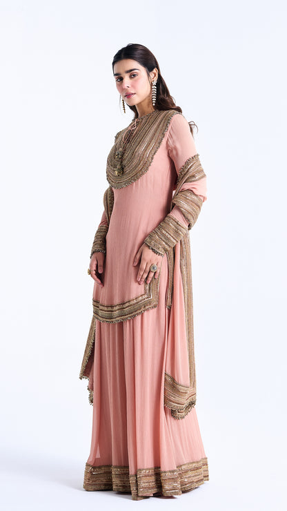 Sharara Set in Sequin Embroidery in Sequin Loat Design