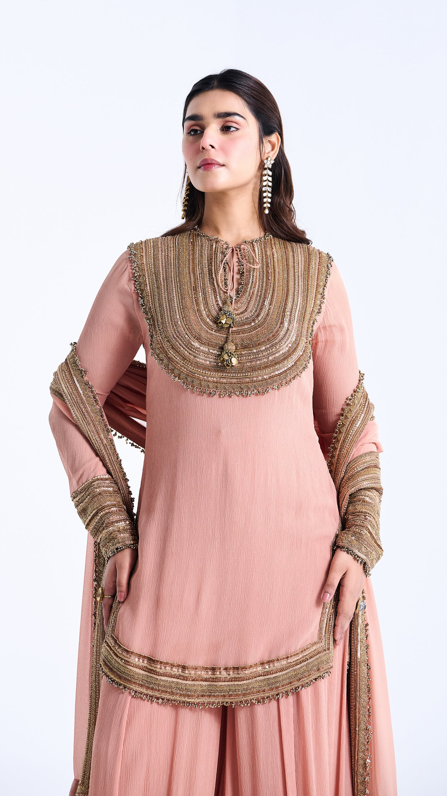 Sharara Set in Sequin Embroidery in Sequin Loat Design