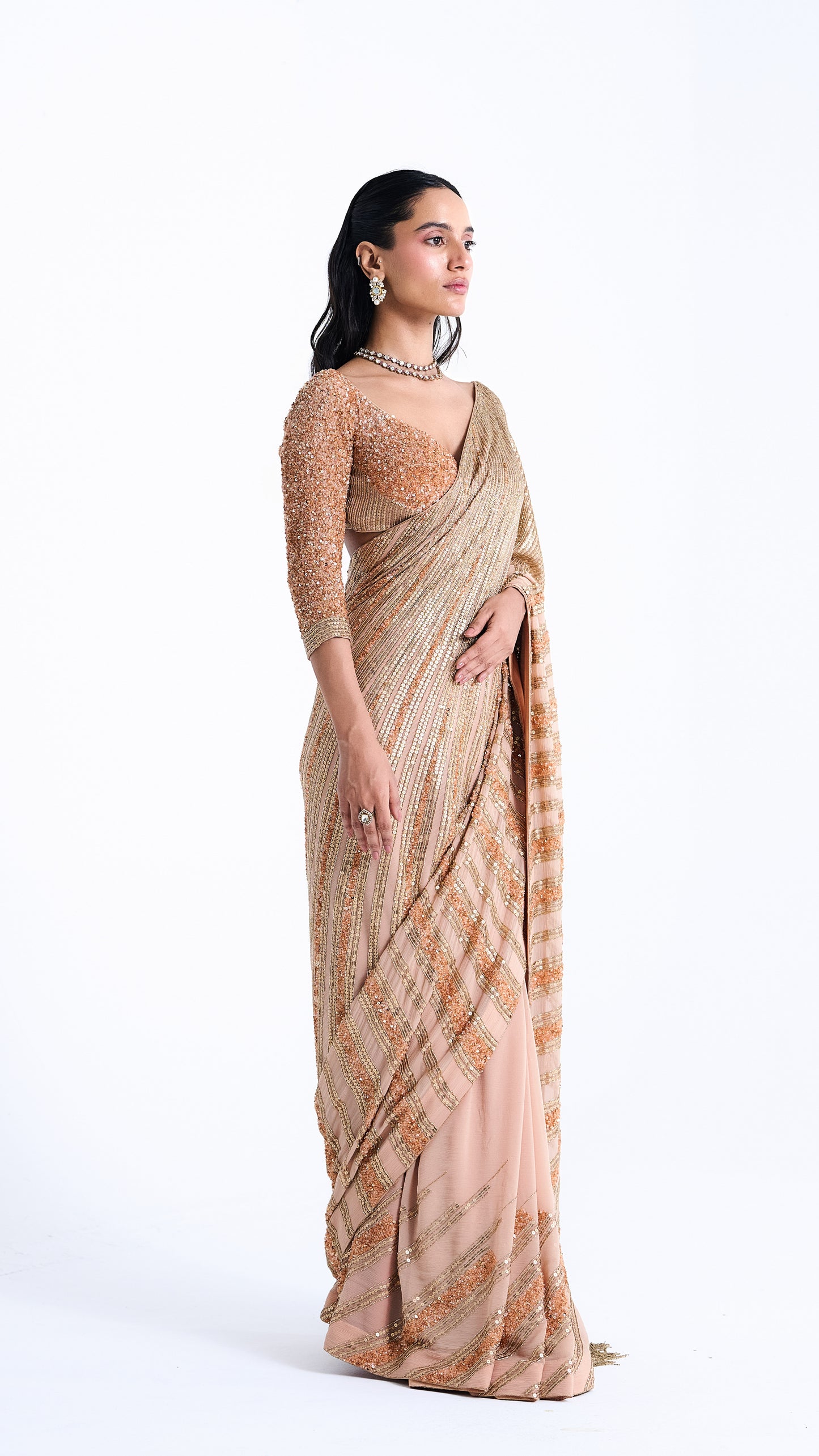 Sari Set in Mixed Line Sequin Embroidery