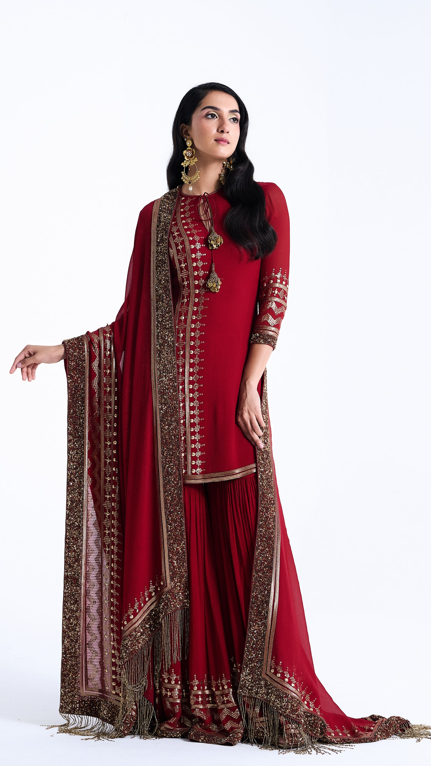 Sharara Set in Sequin Embroidery in Diya Border Design