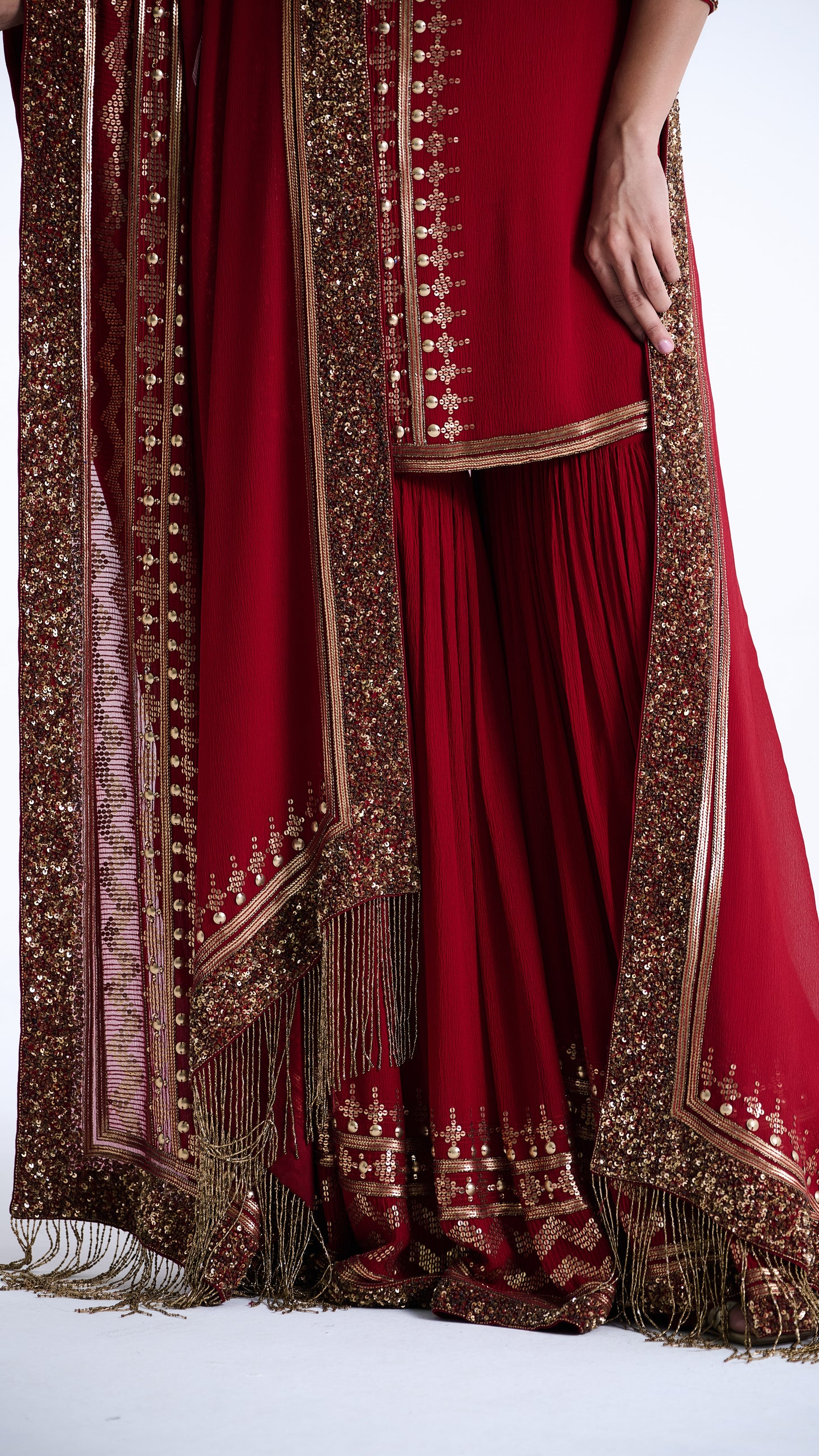 Sharara Set in Sequin Embroidery in Diya Border Design