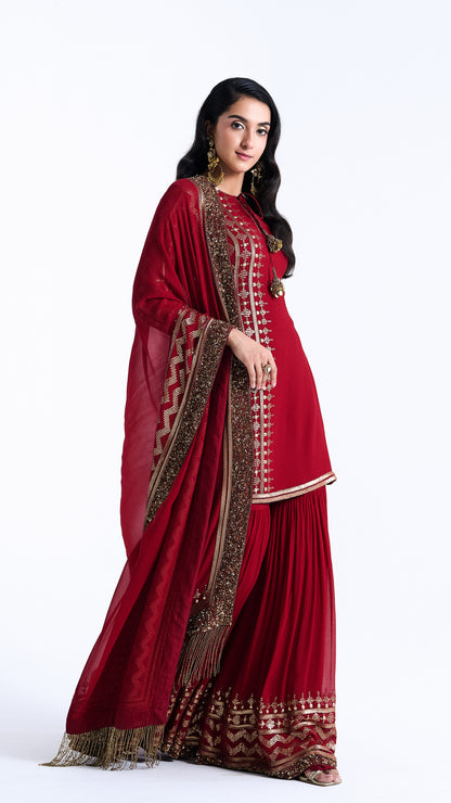 Sharara Set in Sequin Embroidery in Diya Border Design