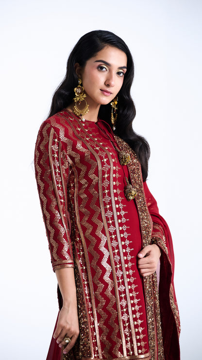 Sharara Set in Sequin Embroidery in Diya Border Design