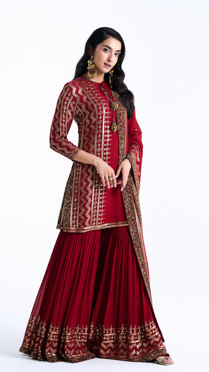 Sharara Set in Sequin Embroidery in Diya Border Design