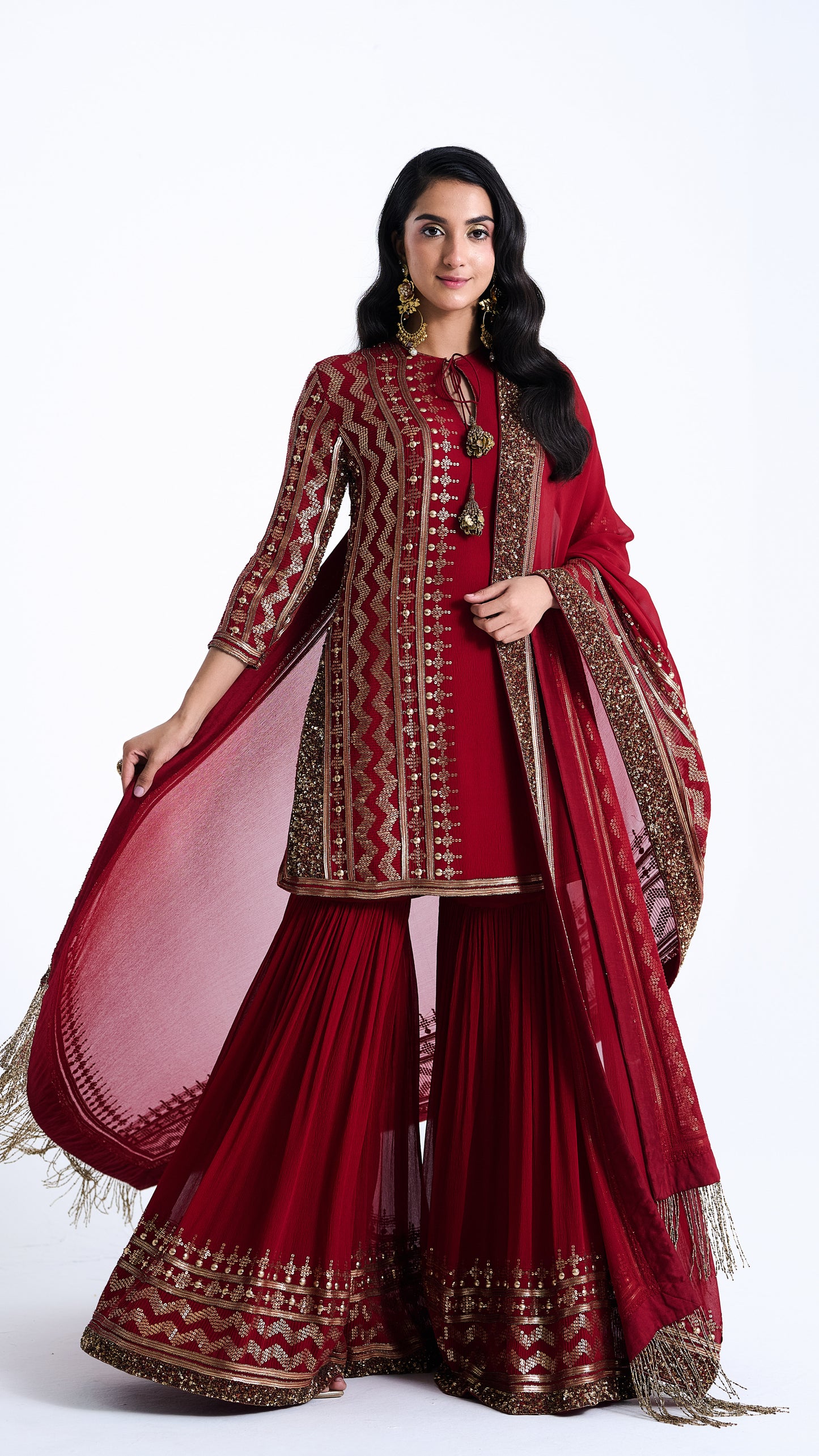 Sharara Set in Sequin Embroidery in Diya Border Design