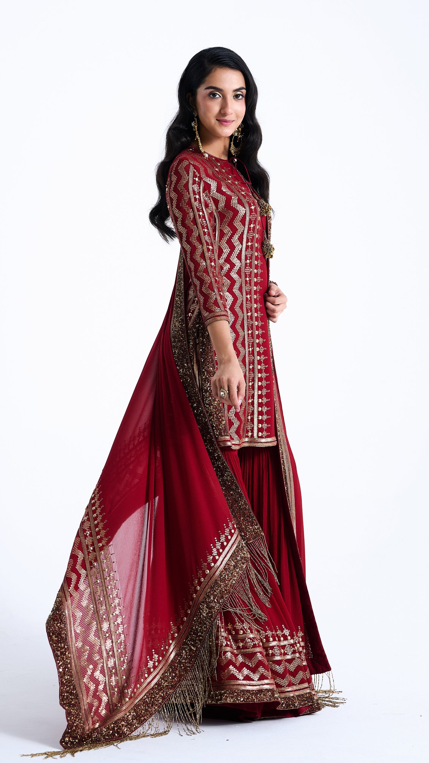 Sharara Set in Sequin Embroidery in Diya Border Design