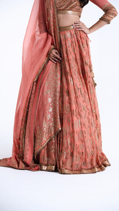 Lehenga Set in Abstract Sequin Embroidery