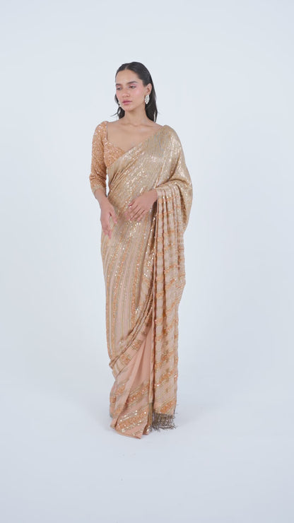 Sari Set in Mixed Line Sequin Embroidery