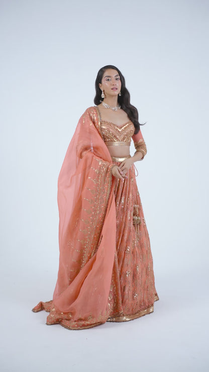 Lehenga Set in Abstract Sequin Embroidery